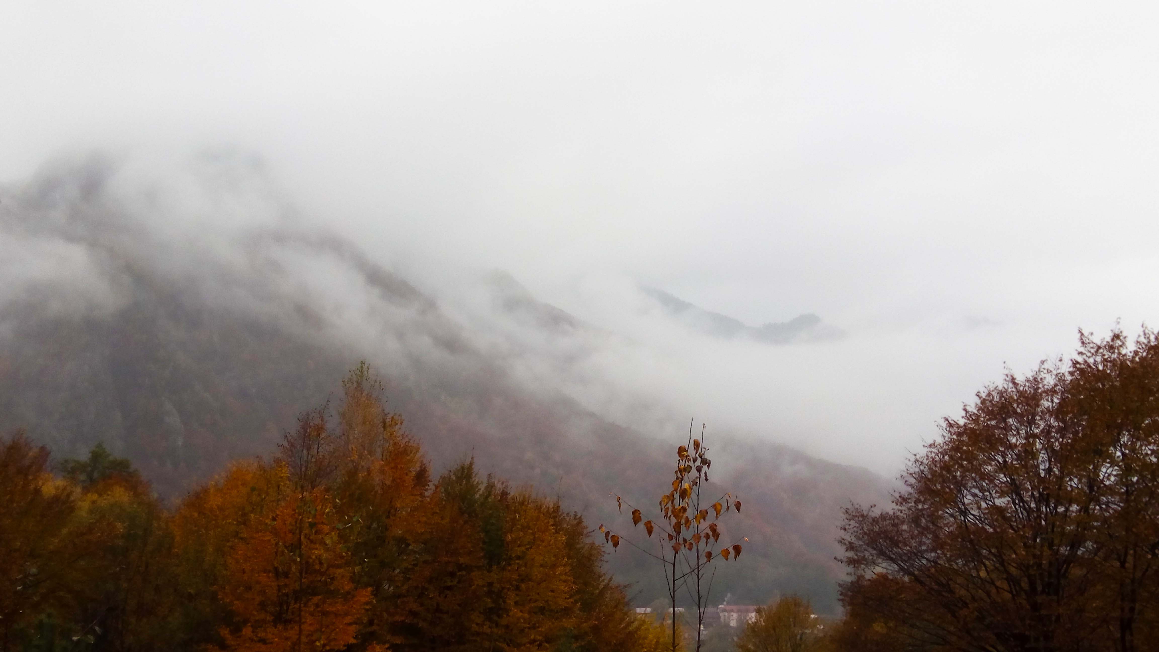 la coborarea de pe varful cozia